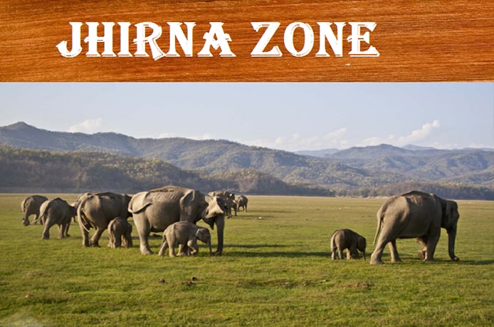 zirna-safari-corbett